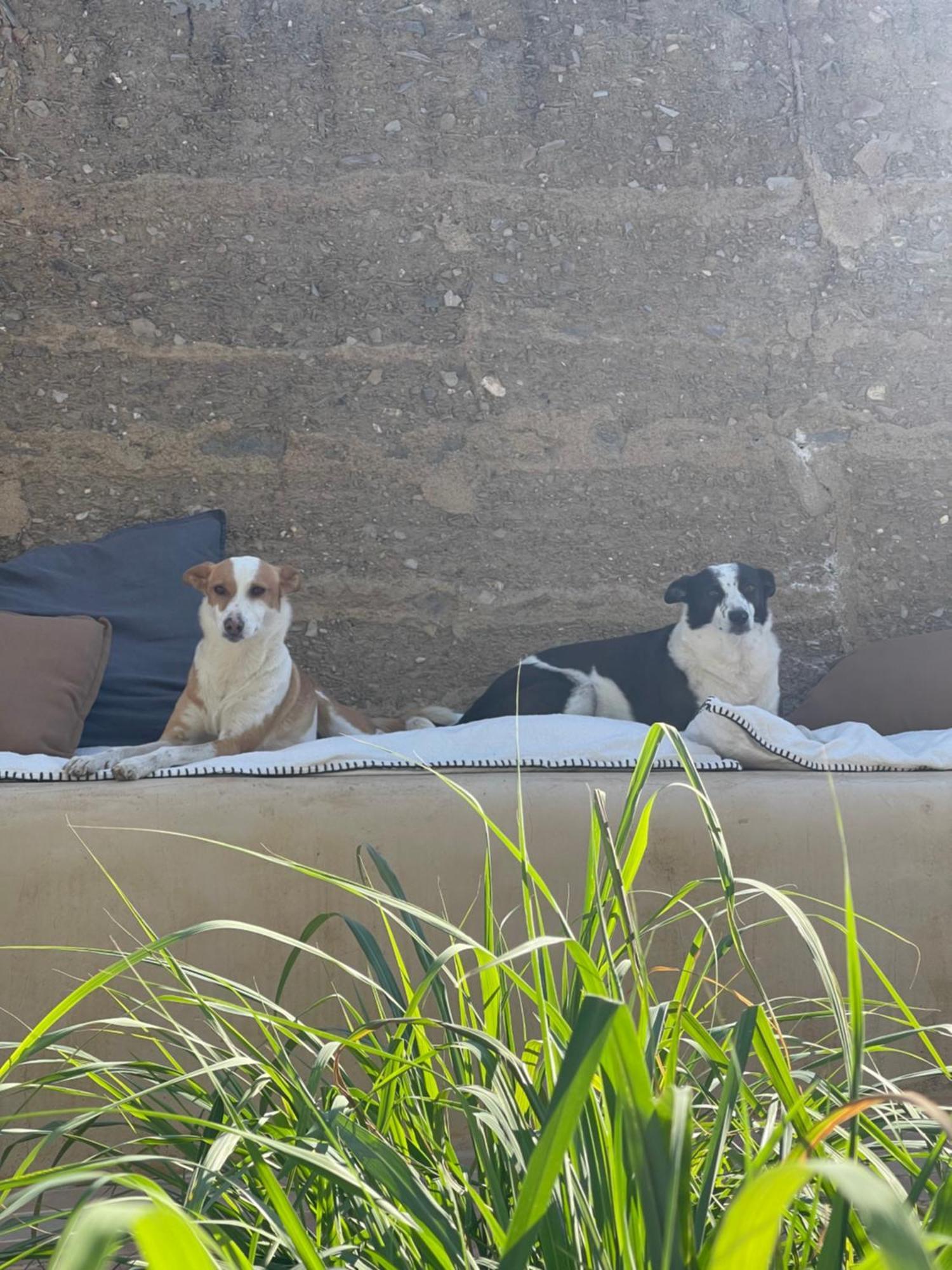 Uma Casa Em Entradas Guesthouse Exteriér fotografie